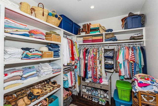 spacious closet with wood-type flooring