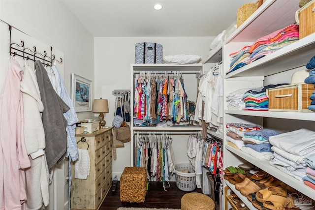 spacious closet featuring wood-type flooring