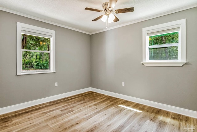 empty room featuring ceiling fan, light hardwood / wood-style floors, and a healthy amount of sunlight