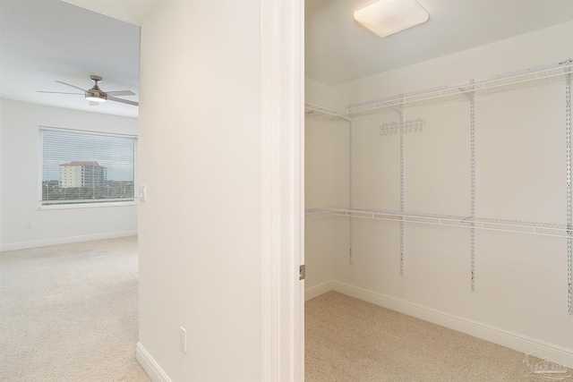 spacious closet featuring light carpet and ceiling fan