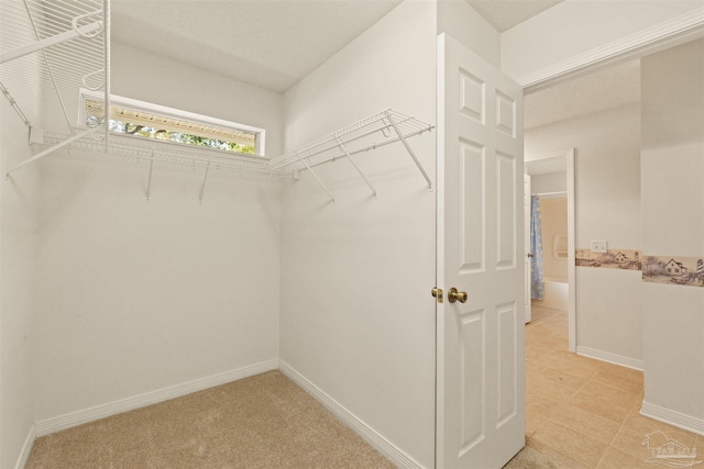 spacious closet with carpet