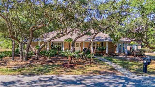 ranch-style home featuring a front yard