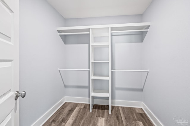 walk in closet with dark hardwood / wood-style flooring