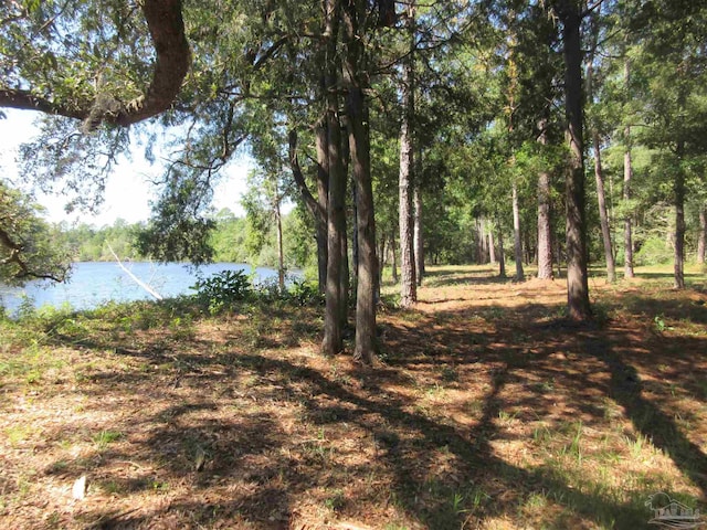 view of yard with a water view