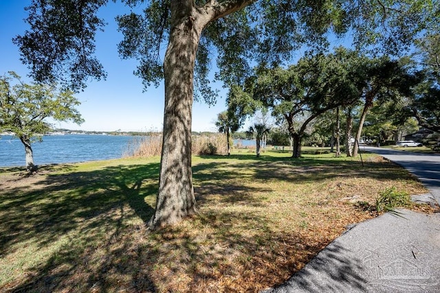 view of yard with a water view