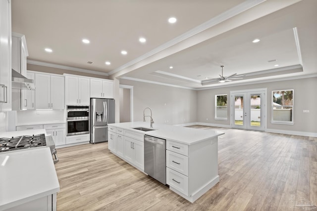 kitchen with sink, appliances with stainless steel finishes, a kitchen island with sink, white cabinetry, and a tray ceiling