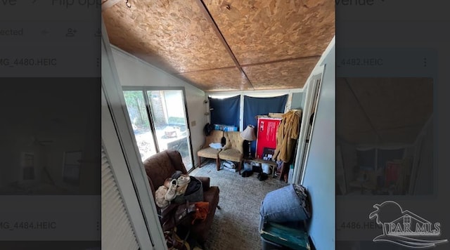 interior space with carpet and lofted ceiling