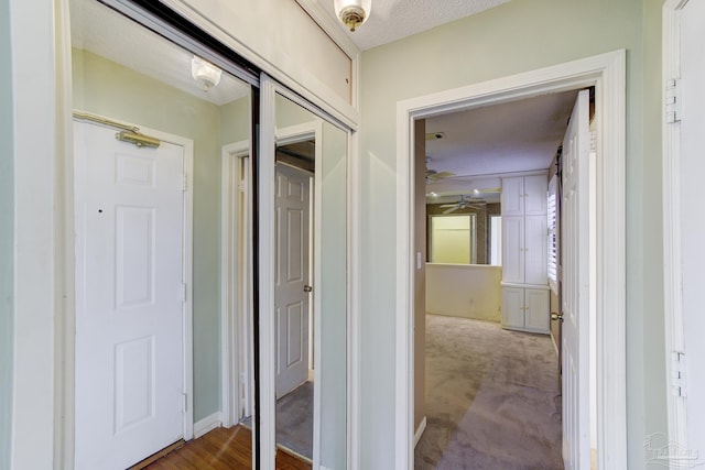 2007 E Gadsden St Unit 102, Pensacola, FL 32501 - hallway featuring carpet flooring and a textured ceiling