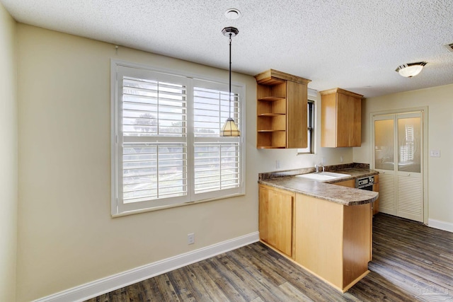 2007 E Gadsden St Unit 102, Pensacola, FL 32501 - kitchen featuring open shelves, a sink, baseboards, a peninsula, and dark wood-style floors