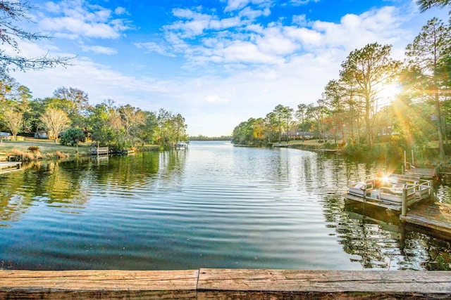 water view with a dock