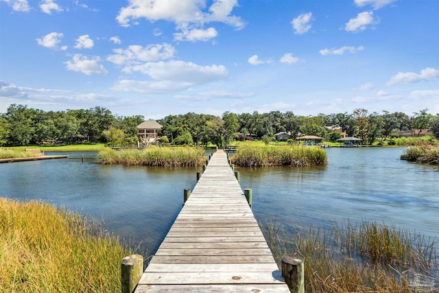 dock area featuring a water view