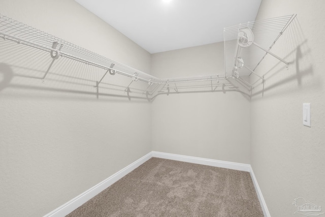 5681 Paddlewheel Dr, Milton, FL 32583 - spacious closet with carpet