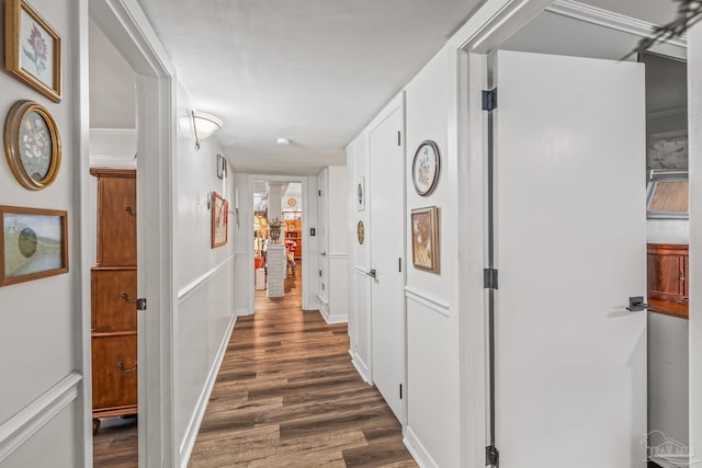 hallway with dark wood-type flooring