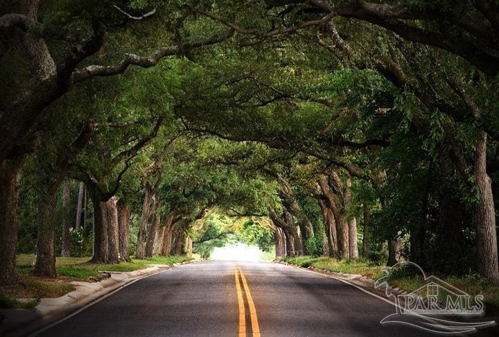 4010 N 8th Ave, Pensacola, FL 32503 - view of asphalt street with a forest view