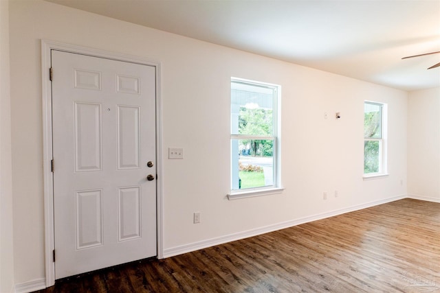 entryway with ceiling fan, hardwood / wood-style floors, and a wealth of natural light