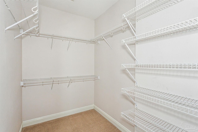 spacious closet with carpet flooring