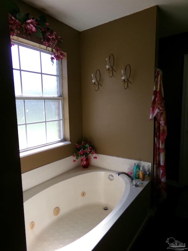 bathroom with a bathing tub