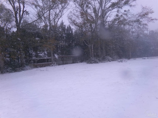 view of yard covered in snow