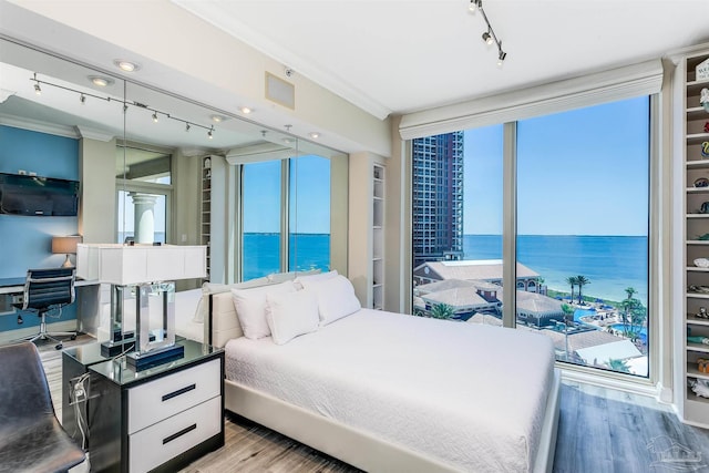 bedroom featuring light hardwood / wood-style floors, multiple windows, a water view, and rail lighting