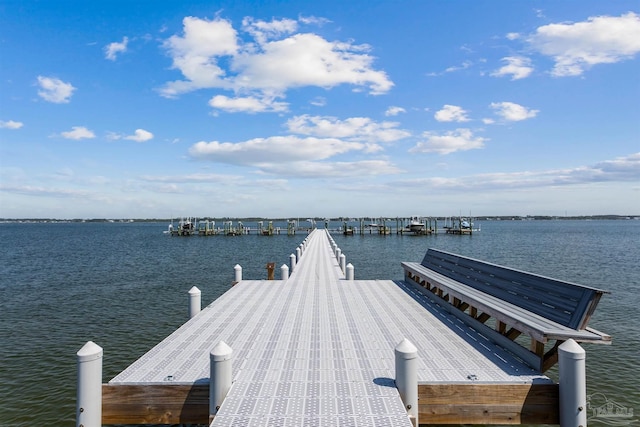 dock area with a water view