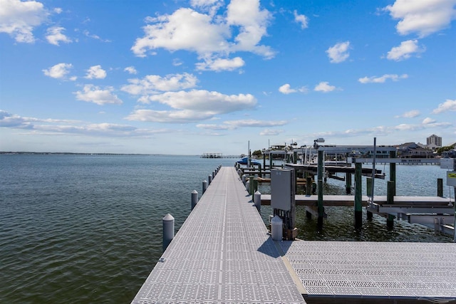 dock area with a water view