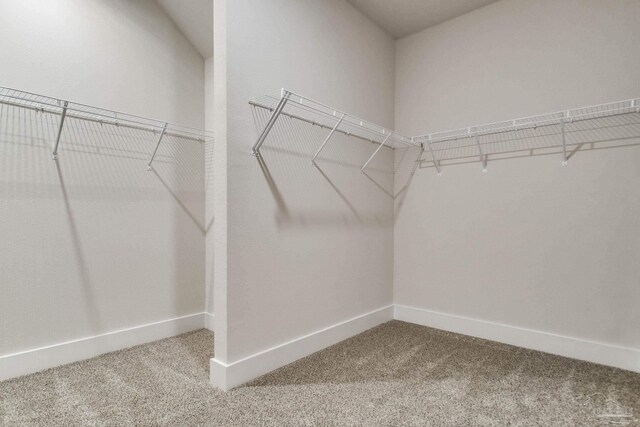 9797 Windyhill Rd, Pensacola, FL 32526 - spacious closet featuring carpet floors
