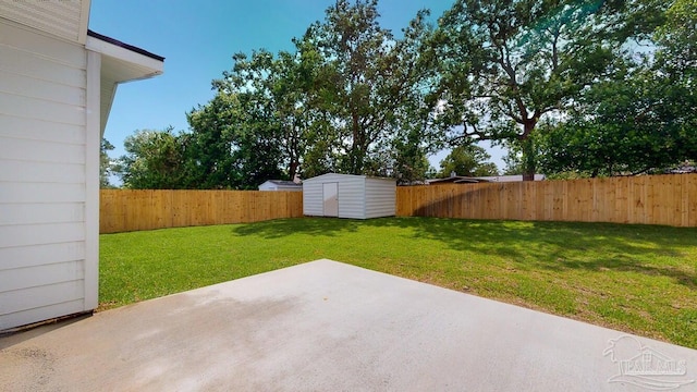 view of yard featuring a patio and a storage shed