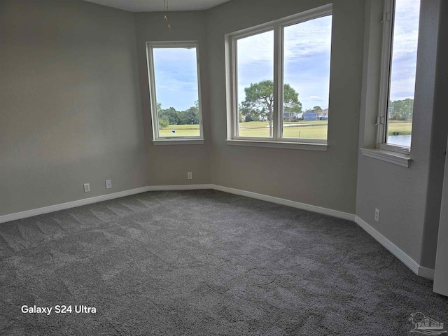 unfurnished room with carpet flooring and a healthy amount of sunlight