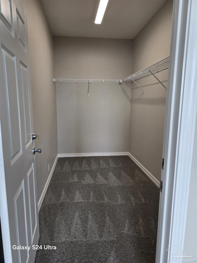 walk in closet featuring dark colored carpet