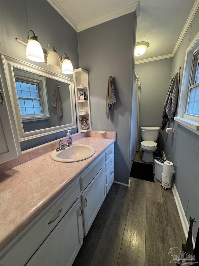 bathroom featuring hardwood / wood-style flooring, ornamental molding, vanity, and plenty of natural light