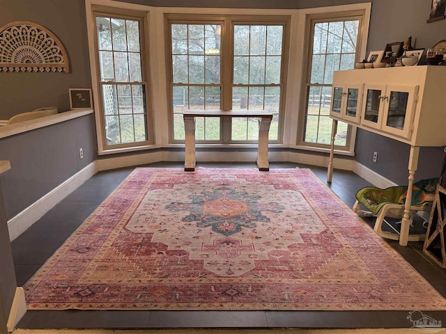 tiled dining room featuring a wealth of natural light