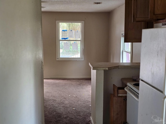 kitchen with a textured ceiling, light carpet, a healthy amount of sunlight, and white appliances