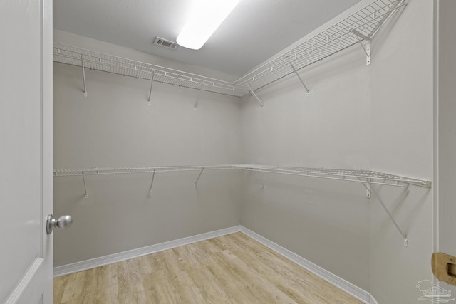 spacious closet featuring visible vents and light wood-type flooring