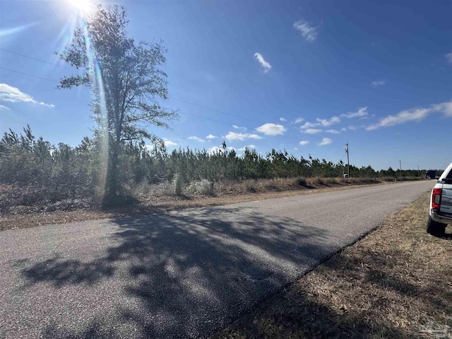 LOT19 Mineral Springs Rd, Jay FL, 32565 land for sale