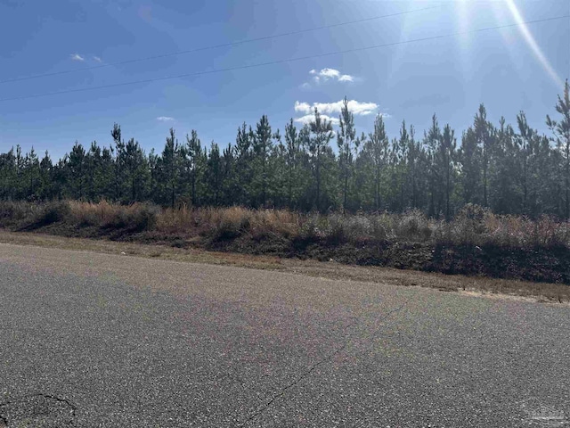 Listing photo 2 for LOT19 Mineral Springs Rd, Jay FL 32565