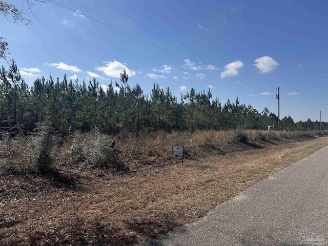 Listing photo 3 for LOT19 Mineral Springs Rd, Jay FL 32565