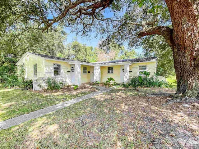 ranch-style house with a front lawn and stucco siding