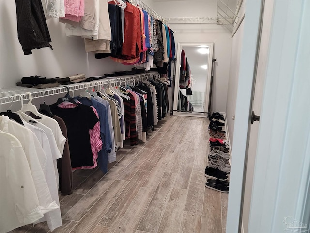 walk in closet with wood finished floors