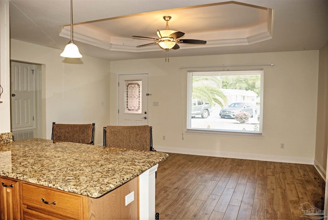 kitchen with light stone counters, hanging light fixtures, a tray ceiling, and dark hardwood / wood-style floors