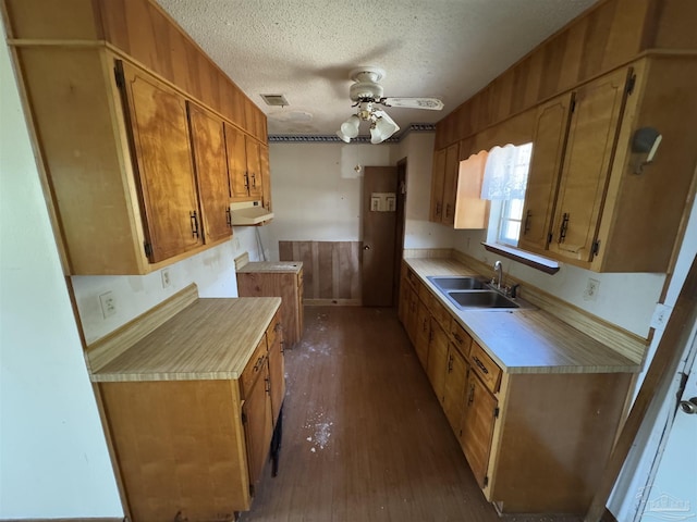 kitchen featuring ceiling fan, sink, a textured ceiling, and dark hardwood / wood-style floors