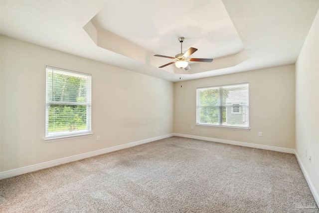 spare room with light colored carpet, a raised ceiling, a wealth of natural light, and baseboards