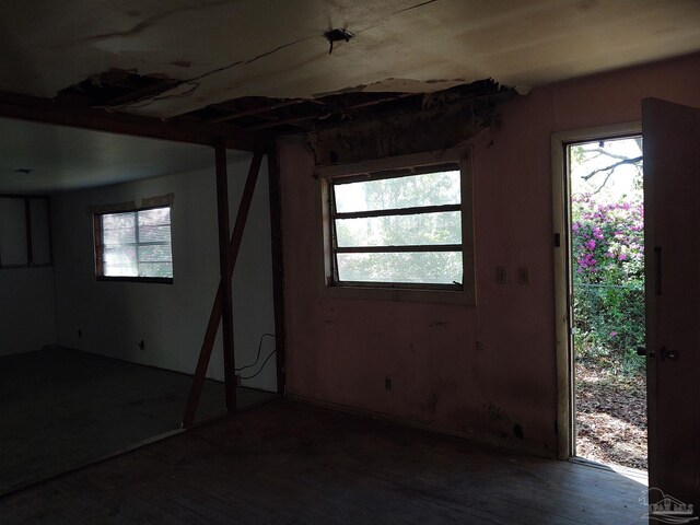 interior space featuring hardwood / wood-style floors and a wealth of natural light