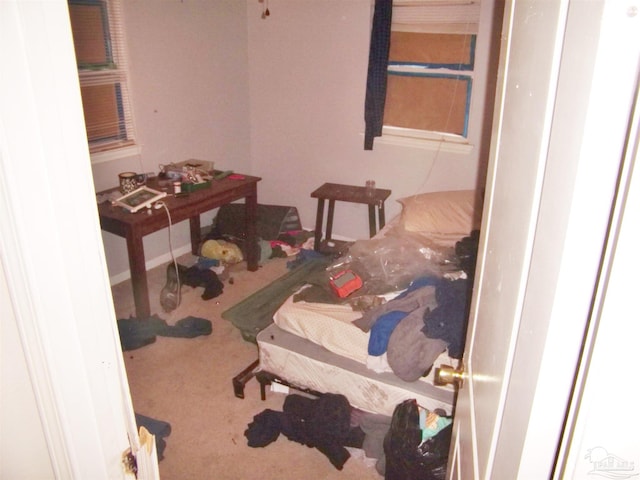 bedroom with carpet flooring