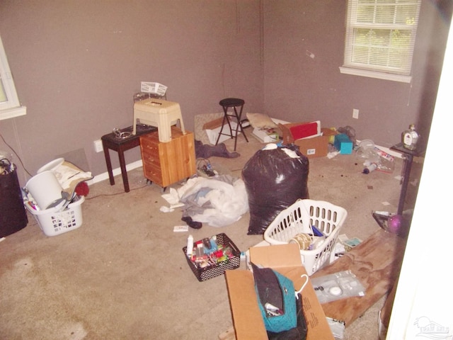 miscellaneous room featuring carpet flooring