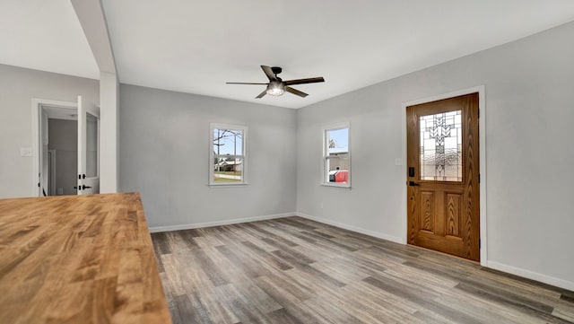 entryway featuring hardwood / wood-style flooring and ceiling fan