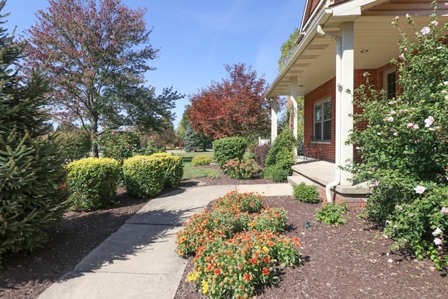 view of yard with a porch