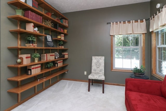 living area with carpet flooring, a textured ceiling, and baseboards