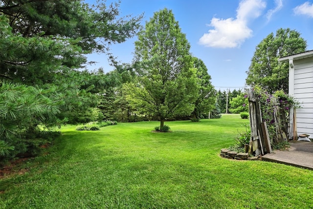 155 W Smiley Ave, Shelby, OH 44875 - view of grassy yard