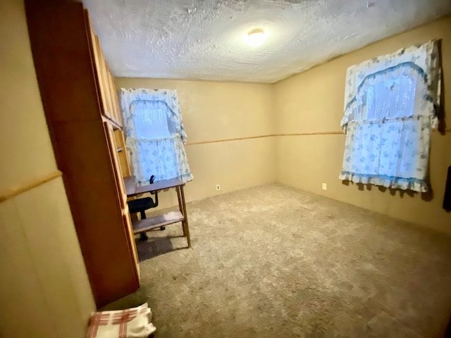 unfurnished room with carpet floors and a textured ceiling