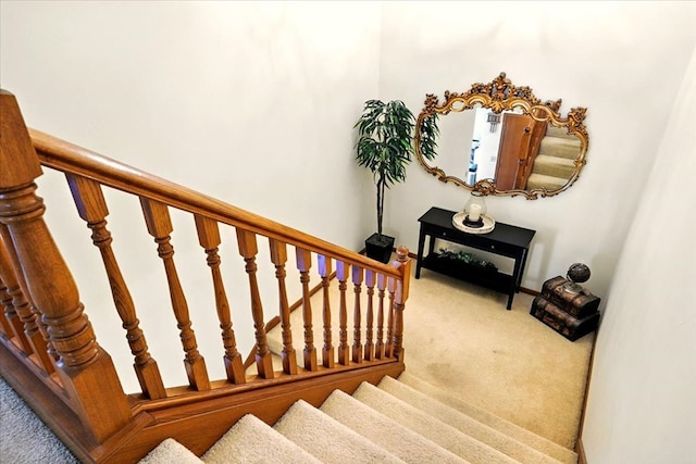 415 Lakeshore Rd, Ashland, OH 44805 - stairway with carpet flooring